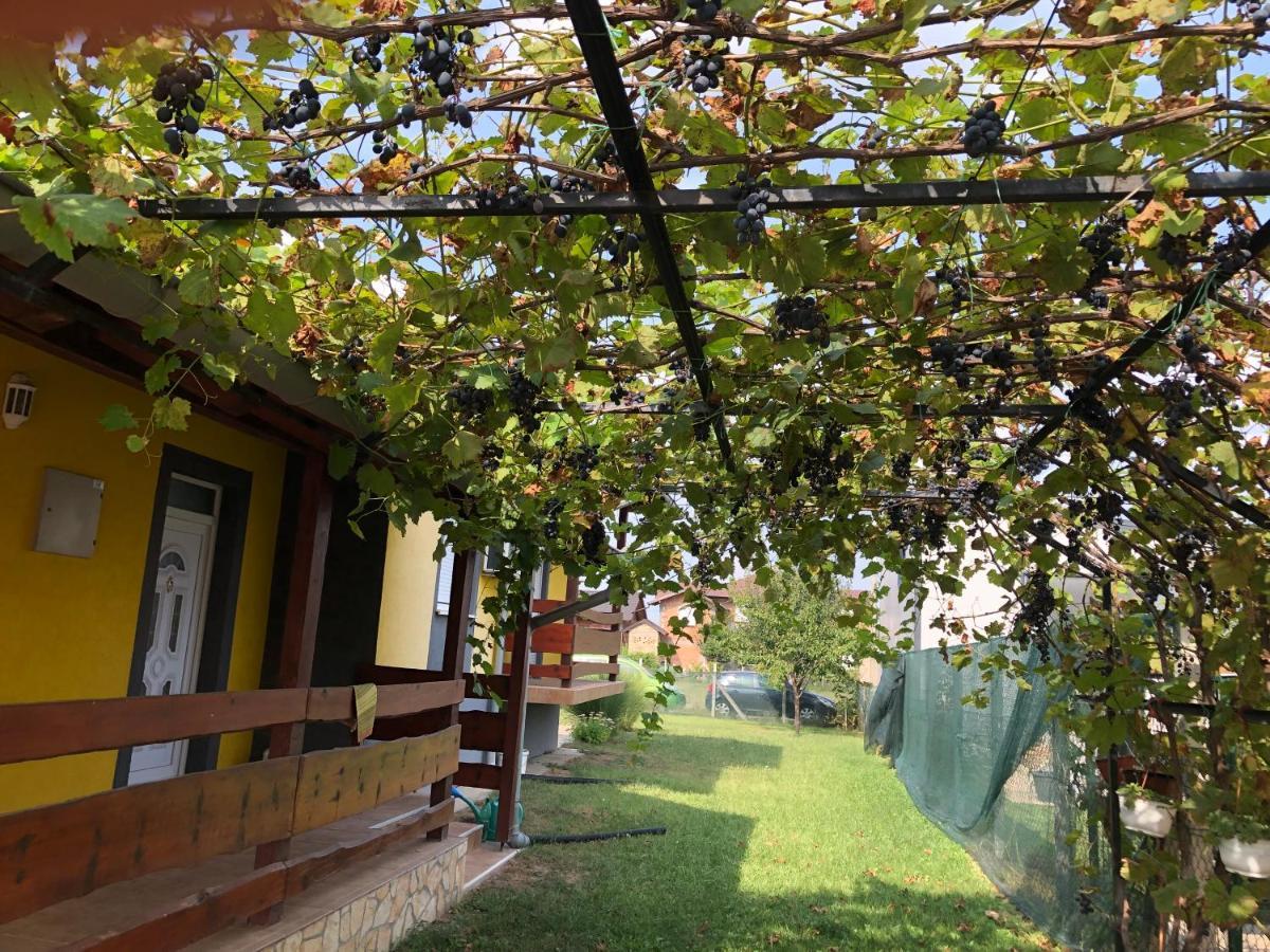 Apartamento Lux Hus Novi Sad Veternik Exterior foto